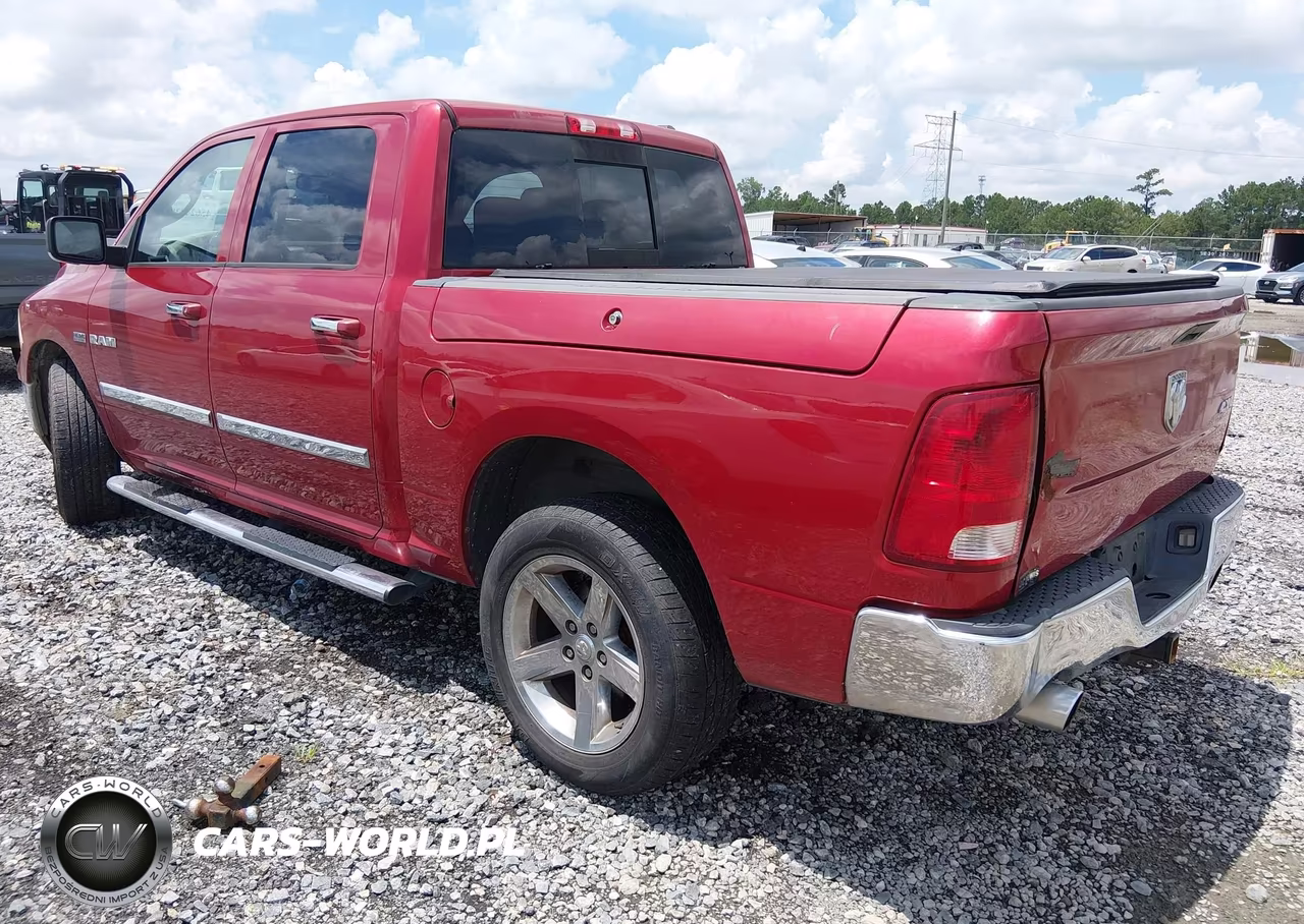 2010 Dodge Ram 1500 Slt-Sport-Trx VIN:1D7RV1CT6AS258118 - 3