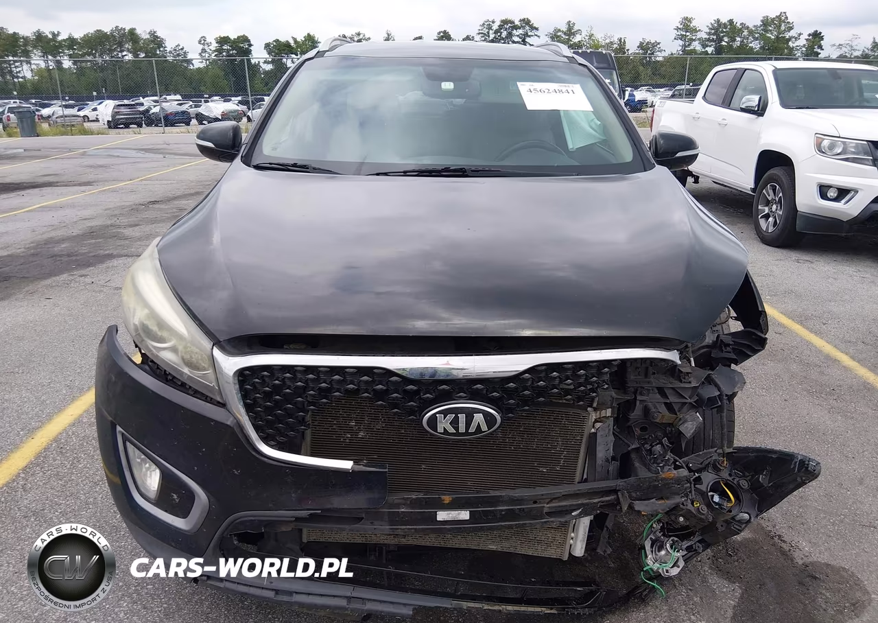 2017 Kia Sorento 3.3L Ex VIN:5XYPH4A52HG265940 - 12