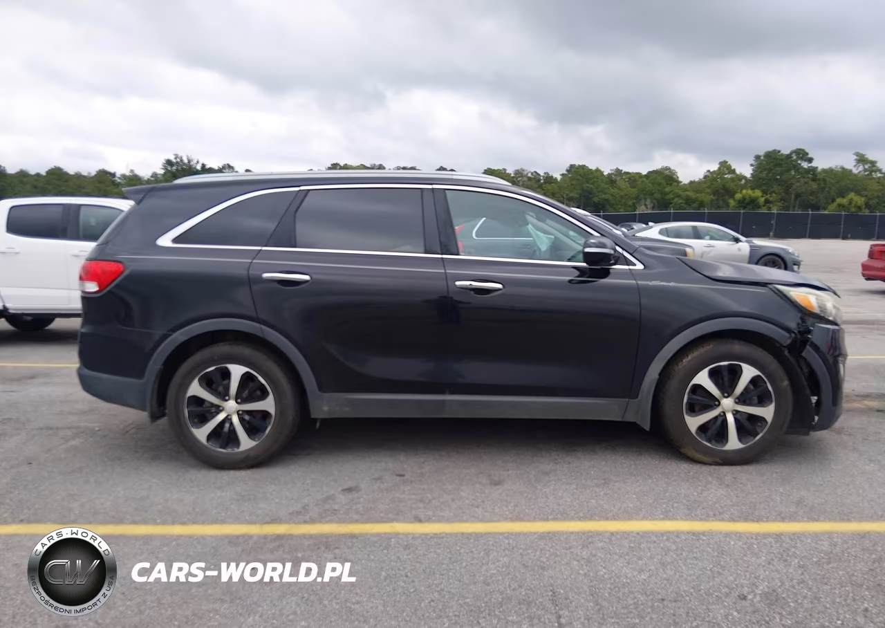 2017 Kia Sorento 3.3L Ex VIN:5XYPH4A52HG265940 - 13