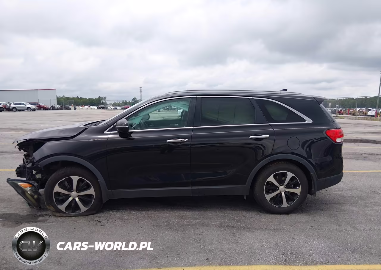 2017 Kia Sorento 3.3L Ex VIN:5XYPH4A52HG265940 - 14