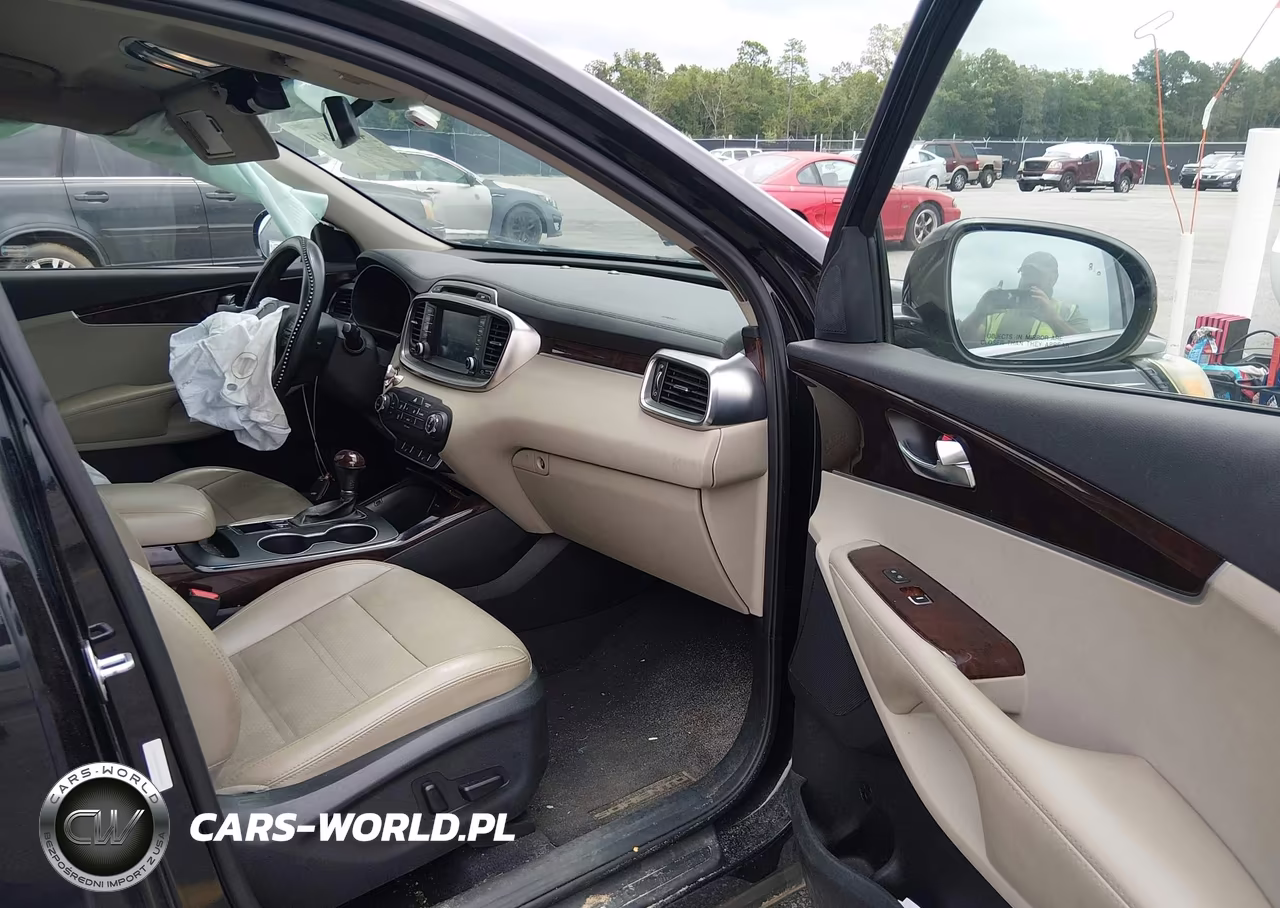 2017 Kia Sorento 3.3L Ex VIN:5XYPH4A52HG265940 - 5