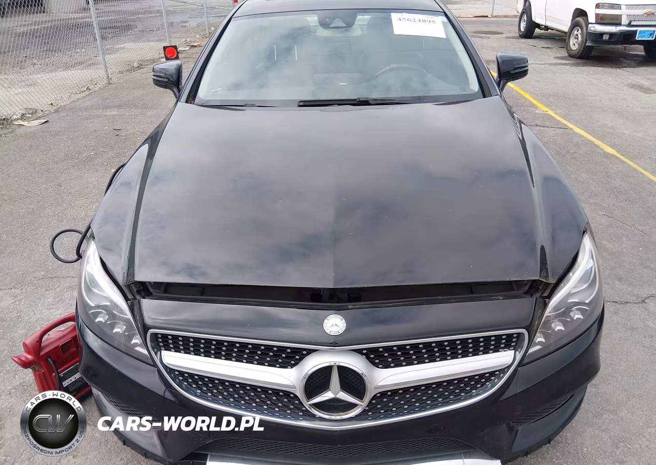 2016 Mercedes-Benz Cls 400 4Matic VIN:WDDLJ6HB8GA177571 - 12