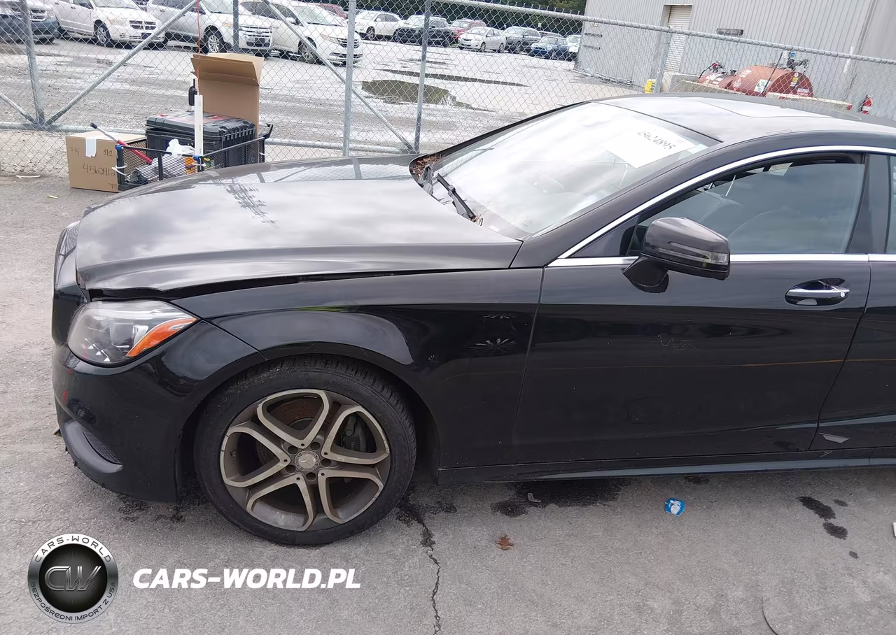 2016 Mercedes-Benz Cls 400 4Matic VIN:WDDLJ6HB8GA177571 - 14