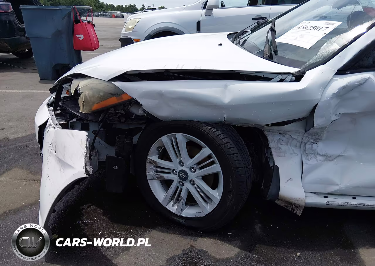 2007 Hyundai Tiburon Gs VIN:KMHHM66D17U255775 - 17