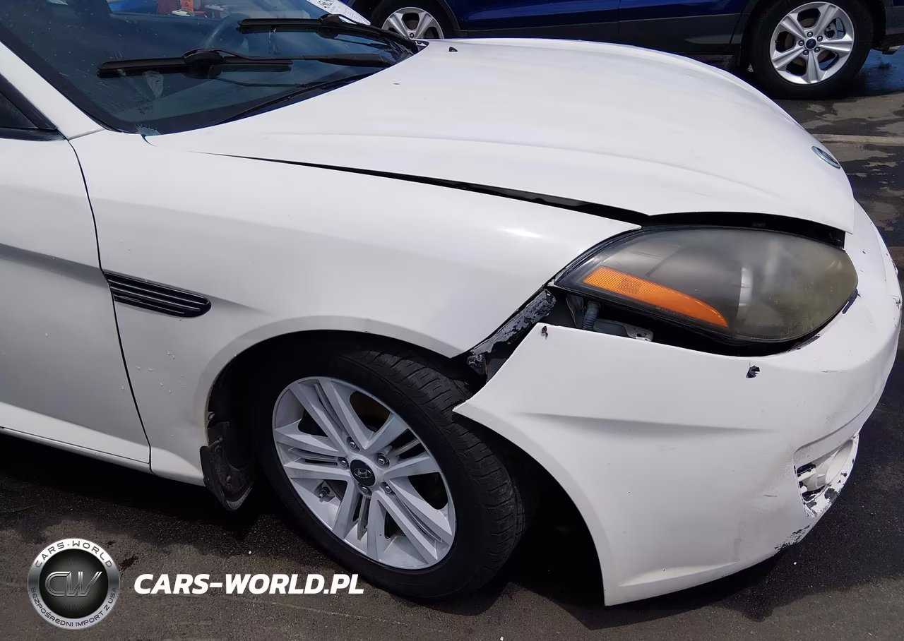 2007 Hyundai Tiburon Gs VIN:KMHHM66D17U255775 - 20