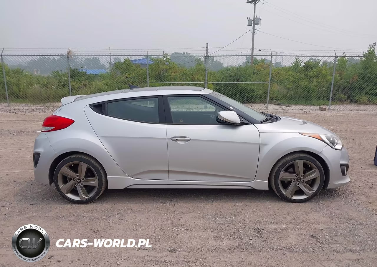 2013 Hyundai Veloster Turbo W-Blue VIN:KMHTC6AE2DU126159 - 13