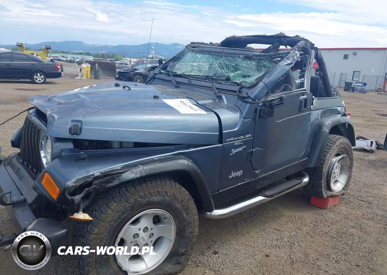 2001 Jeep Wrangler Sport VIN:1J4FA49S51P337513 - 13