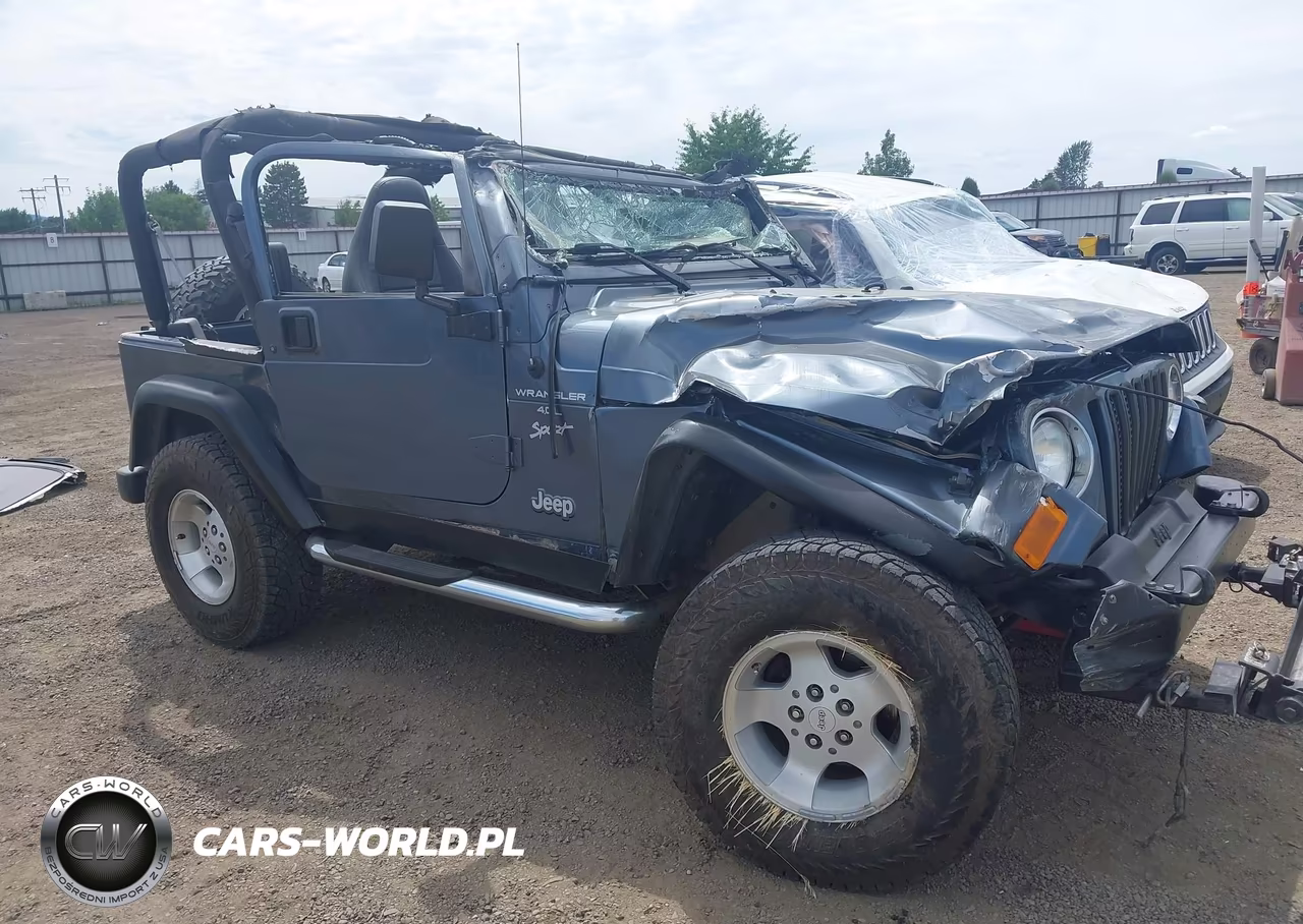 2001 Jeep Wrangler Sport VIN:1J4FA49S51P337513 - 17