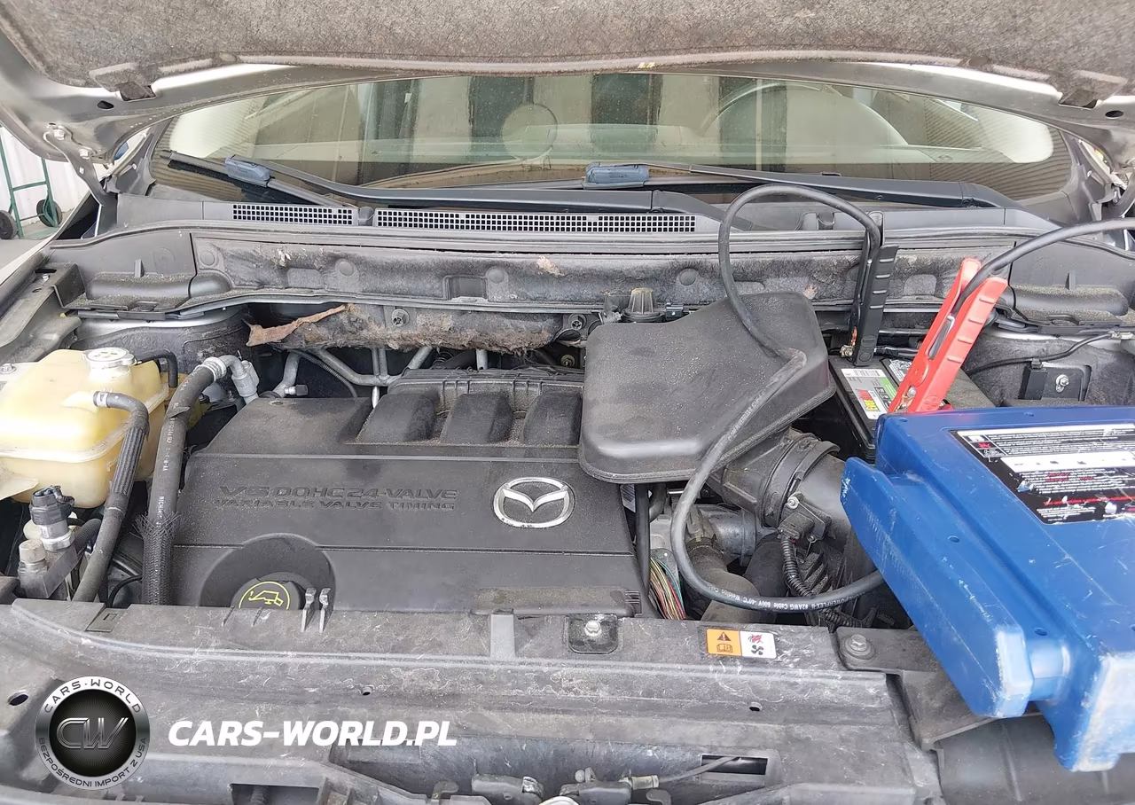 2010 Mazda Cx-9 Sport VIN:JM3TB2MA0A0232418 - 10