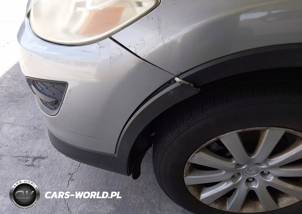 2010 Mazda Cx-9 Sport VIN:JM3TB2MA0A0232418 - 6