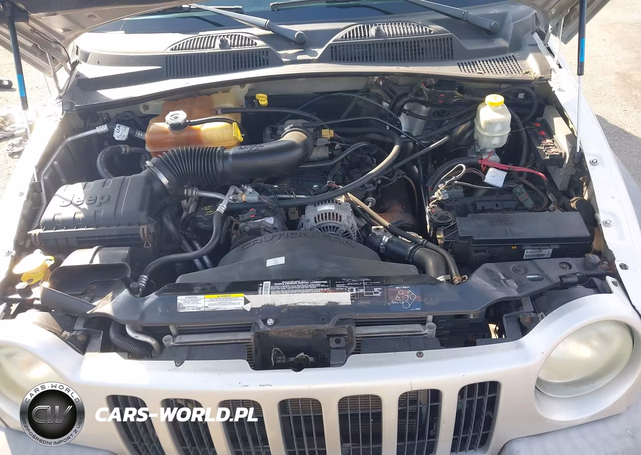 2004 Jeep Liberty Sport VIN:1J4GL48K44W276486 - 10