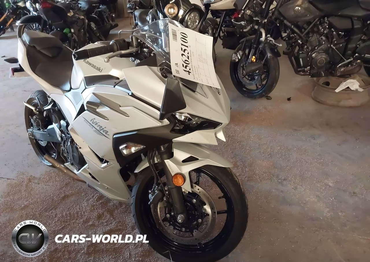 2025 Kawasaki Ex500 – zdjęcie 1 z 13