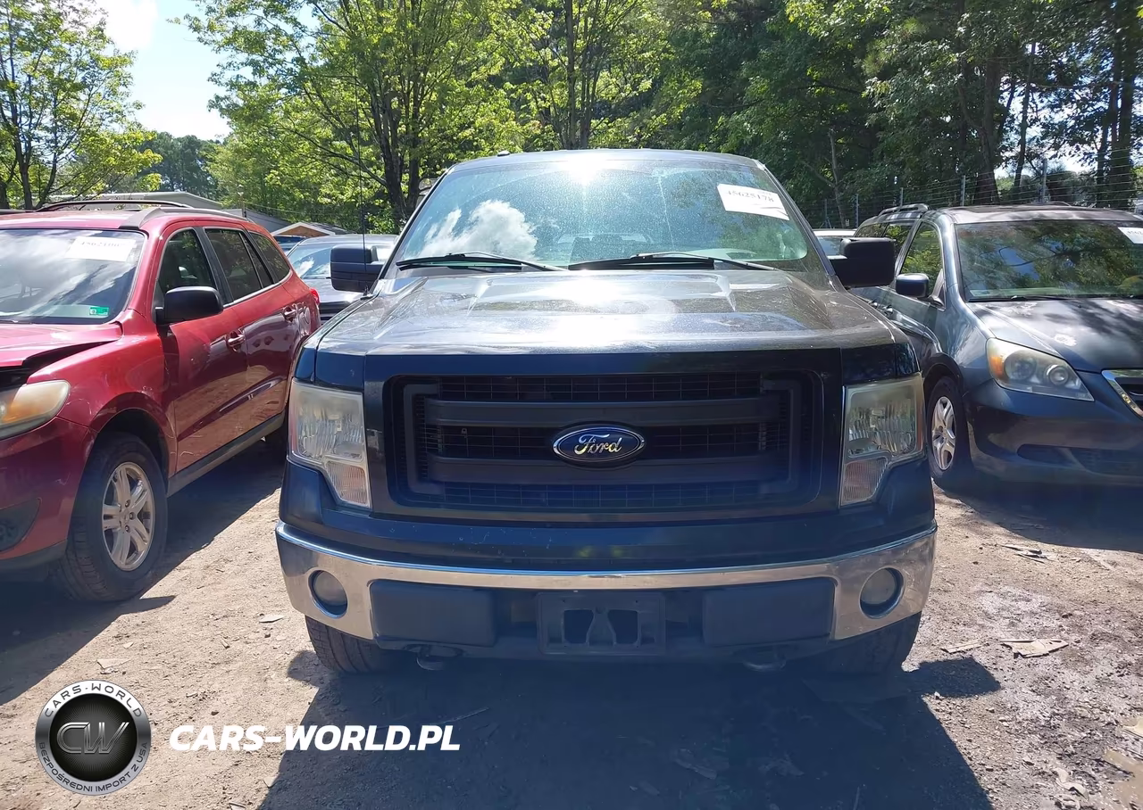 2013 Ford F-150 Stx VIN:1FTFX1EFXDKF57985 - 12