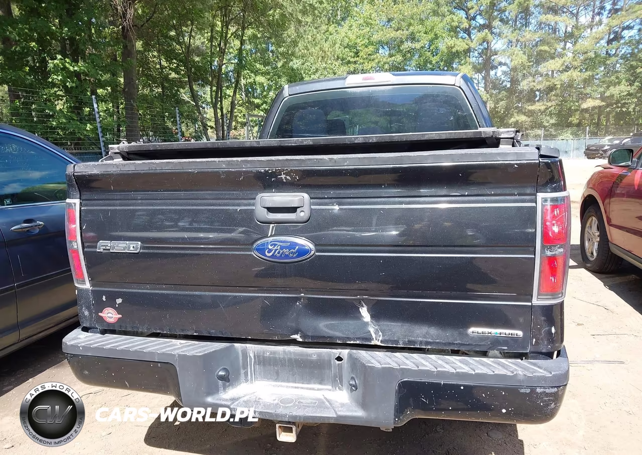 2013 Ford F-150 Stx VIN:1FTFX1EFXDKF57985 - 16
