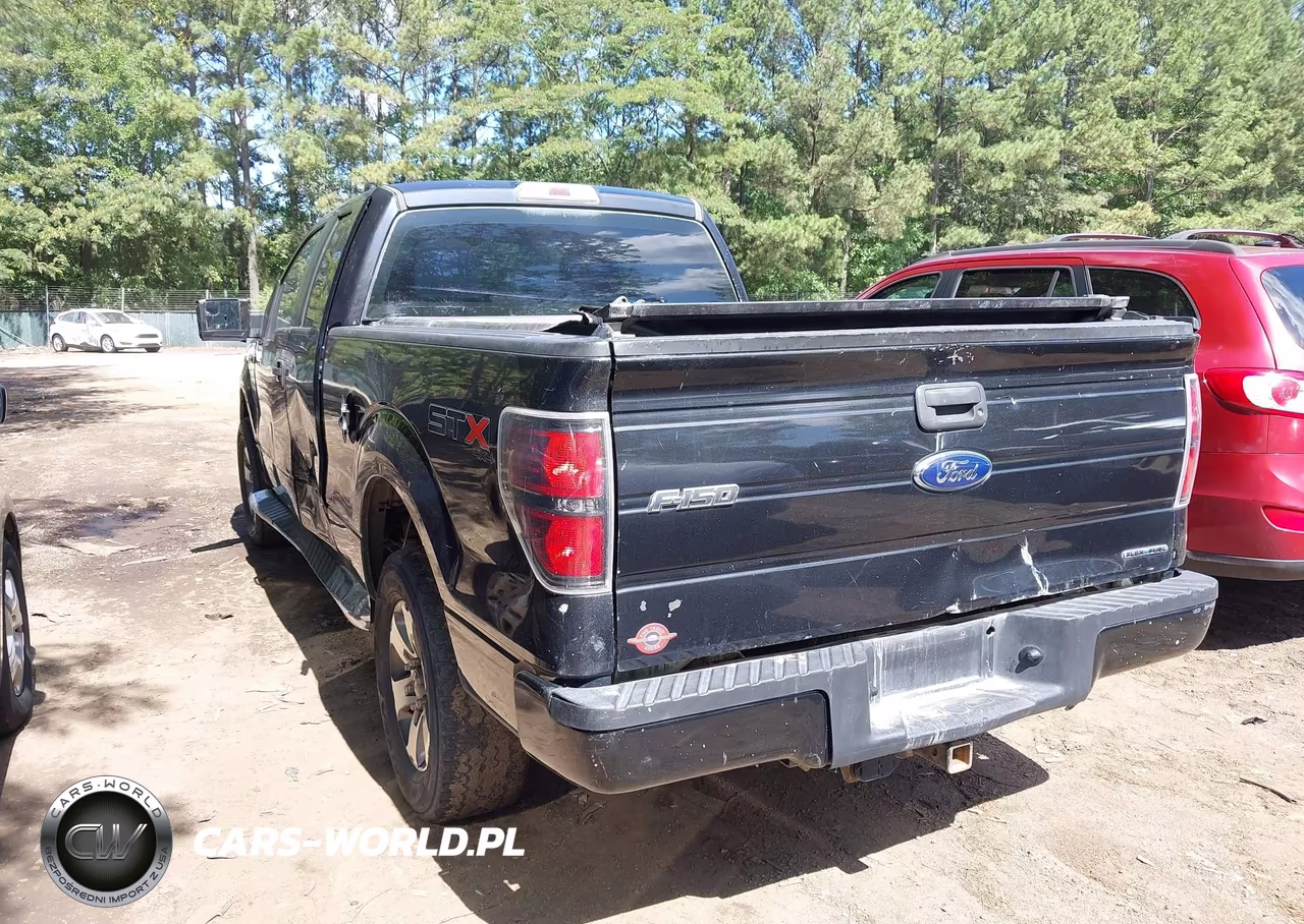 2013 Ford F-150 Stx VIN:1FTFX1EFXDKF57985 - 3