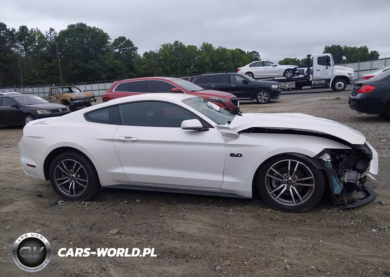 2017 Ford Mustang Ecoboost VIN:1FA6P8TH0H5289701 - 14