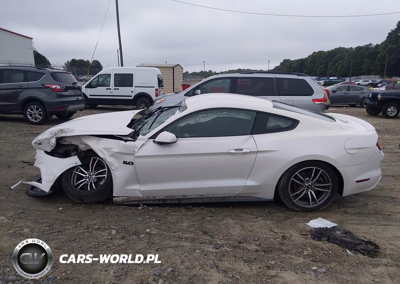 2017 Ford Mustang Ecoboost VIN:1FA6P8TH0H5289701 - 15
