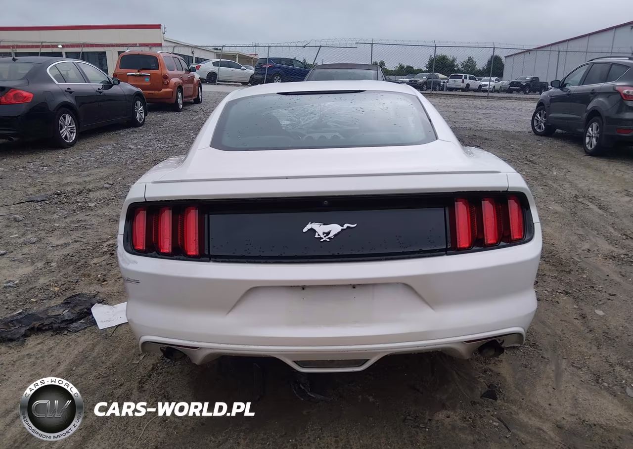 2017 Ford Mustang Ecoboost VIN:1FA6P8TH0H5289701 - 17