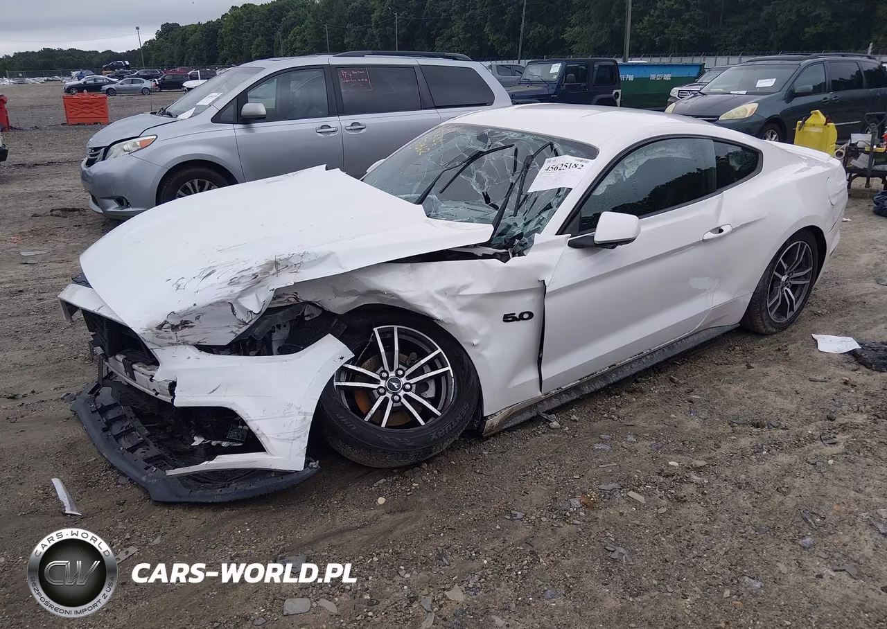 2017 Ford Mustang Ecoboost VIN:1FA6P8TH0H5289701 - 2
