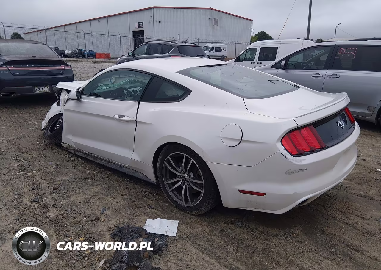 2017 Ford Mustang Ecoboost VIN:1FA6P8TH0H5289701 - 3