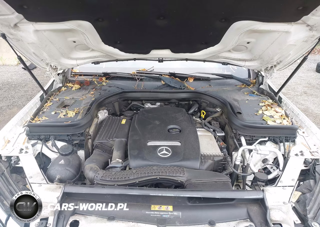 2017 Mercedes-Benz Glc 300 VIN:WDC0G4JB1HF115020 - 10