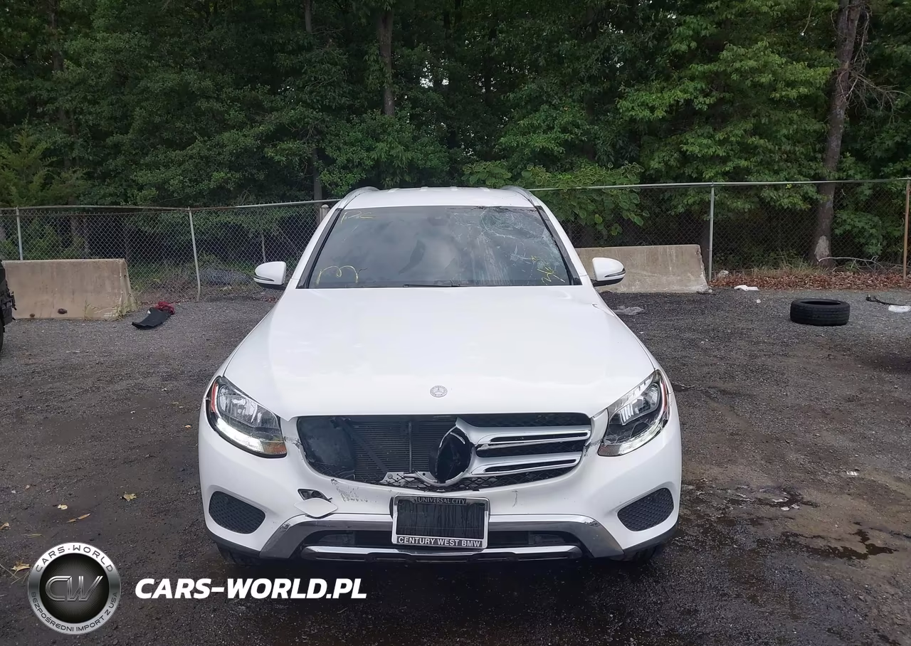 2017 Mercedes-Benz Glc 300 VIN:WDC0G4JB1HF115020 - 12