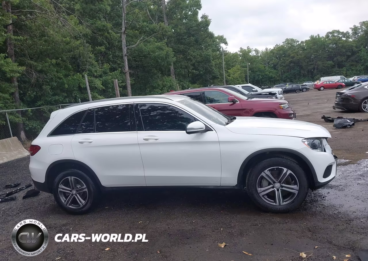 2017 Mercedes-Benz Glc 300 VIN:WDC0G4JB1HF115020 - 13