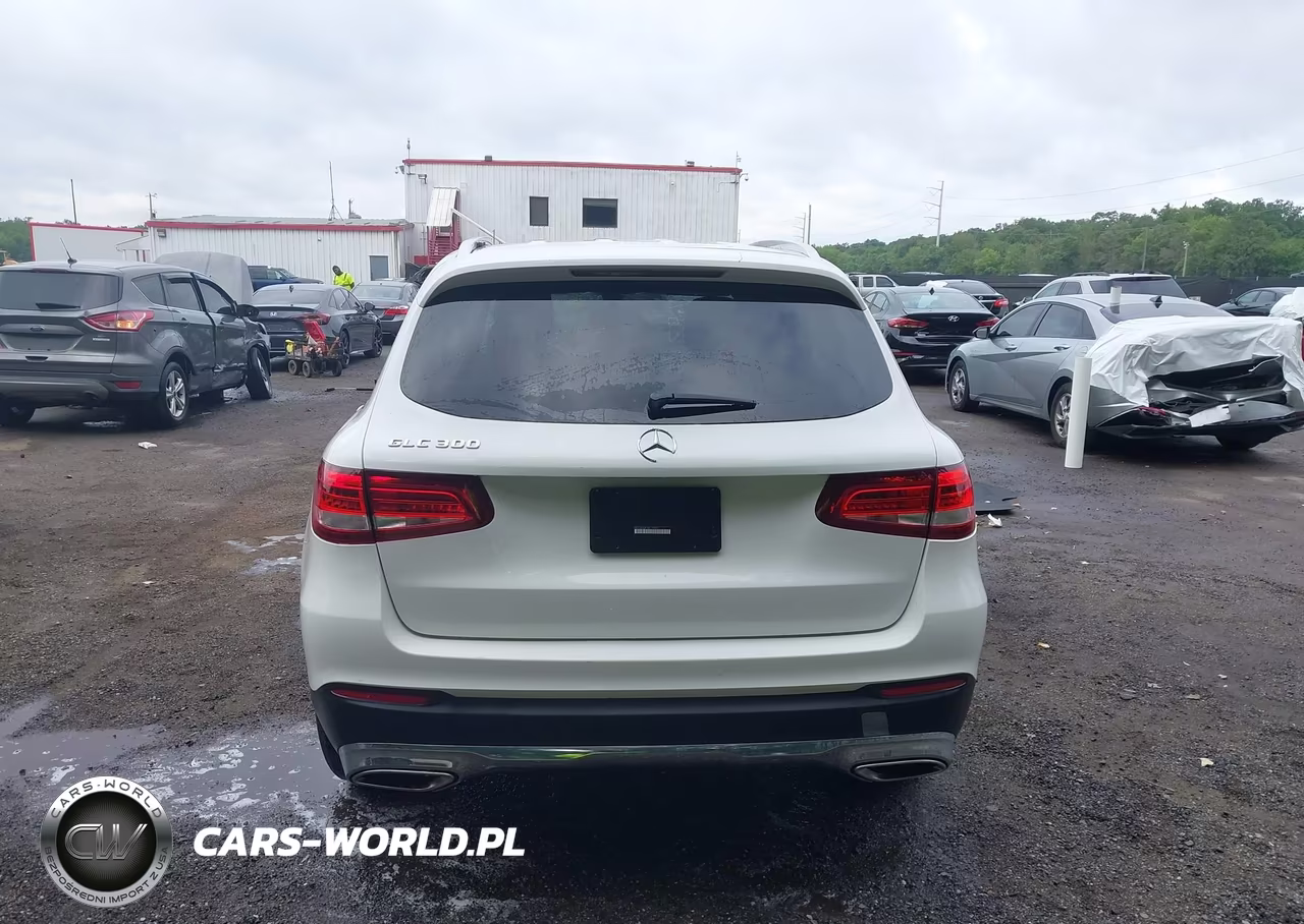 2017 Mercedes-Benz Glc 300 VIN:WDC0G4JB1HF115020 - 16