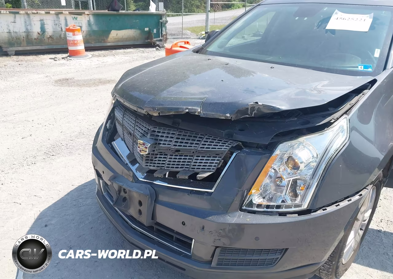 2010 Cadillac Srx Luxury Collection VIN:3GYFNAEY2AS656639 - 6
