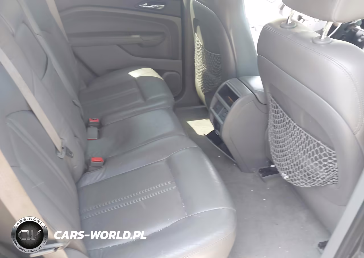 2010 Cadillac Srx Luxury Collection VIN:3GYFNAEY2AS656639 - 8
