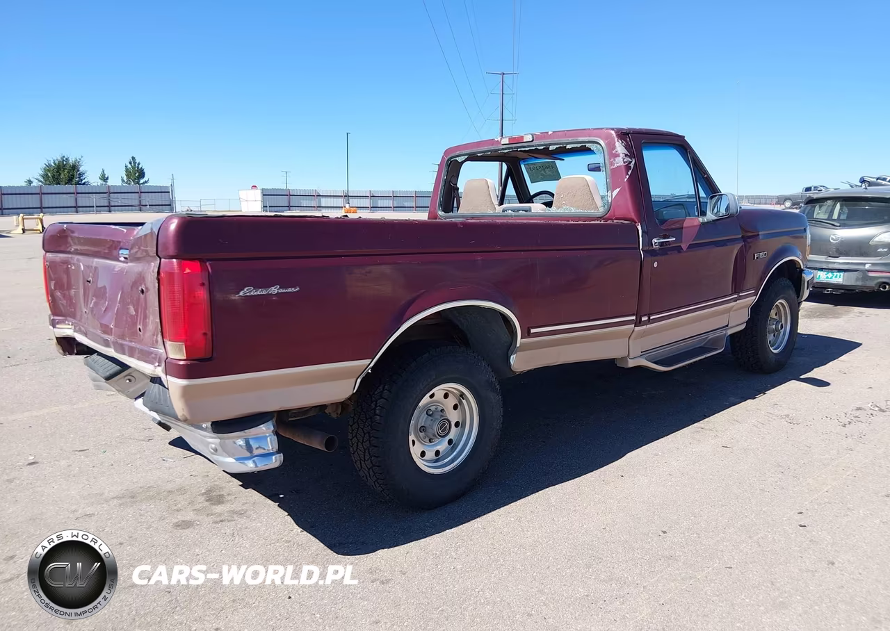 1996 Ford F150 VIN:1FTEF14N6TLA96252 - 4