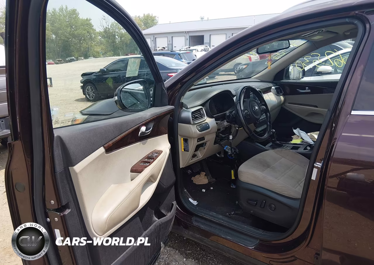 2016 Kia Sorento 2.4L Lx VIN:5XYPG4A38GG056119 - 5