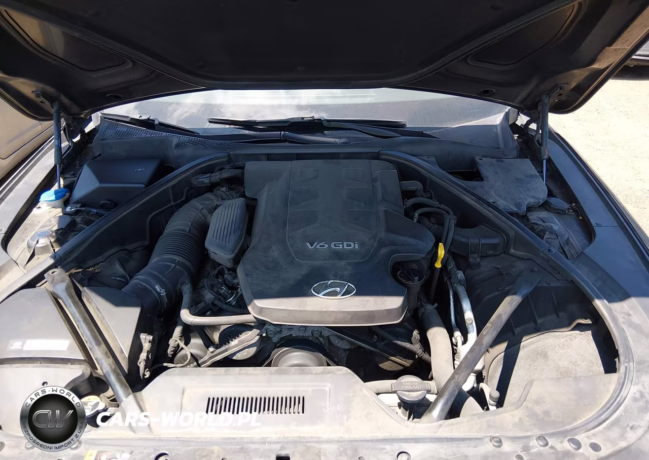2015 Hyundai Genesis 3.8 VIN:KMHGN4JEXFU064318 - 10