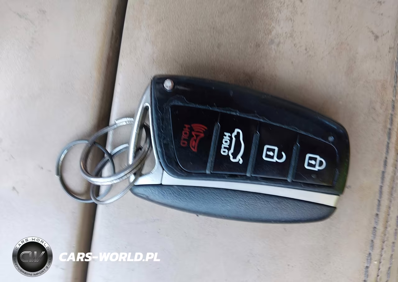 2015 Hyundai Genesis 3.8 VIN:KMHGN4JEXFU064318 - 11