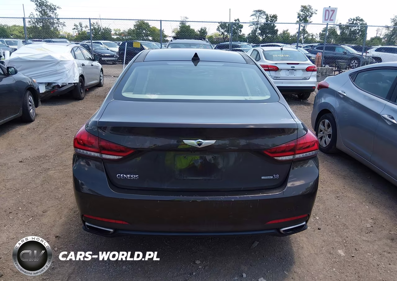 2015 Hyundai Genesis 3.8 VIN:KMHGN4JEXFU064318 - 16