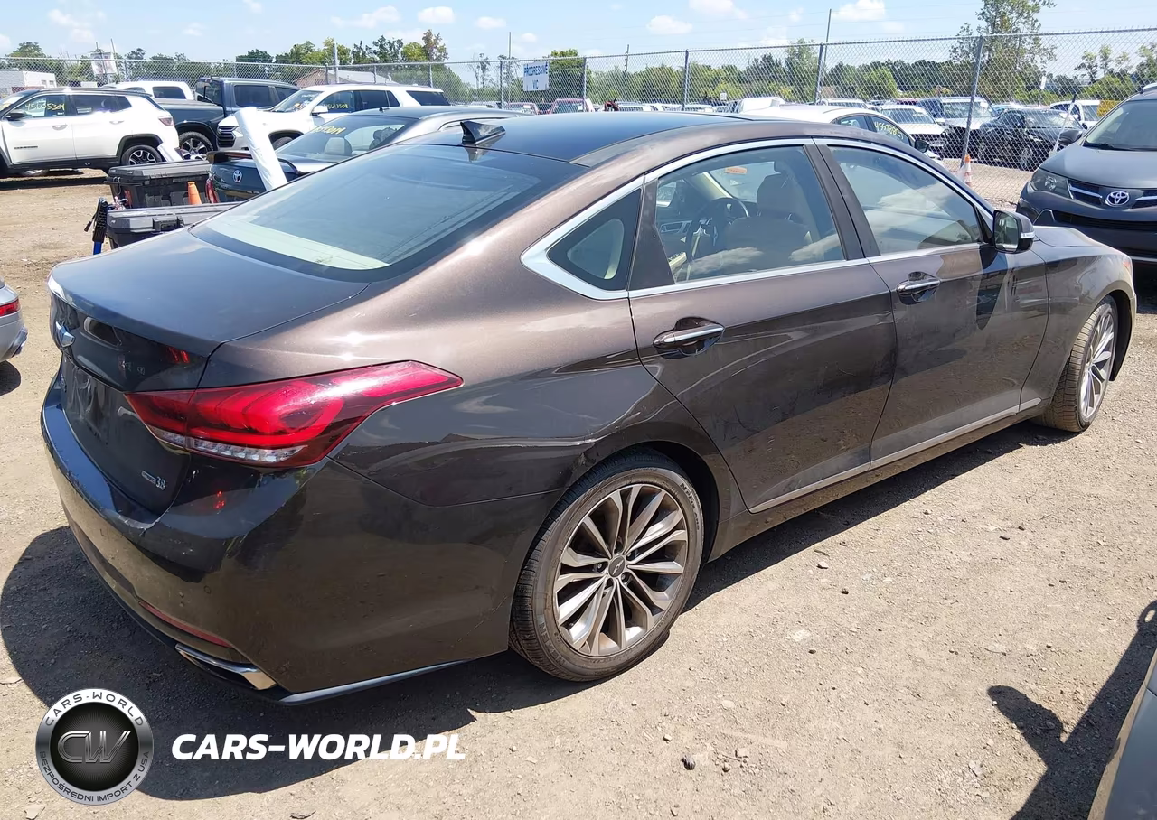 2015 Hyundai Genesis 3.8 VIN:KMHGN4JEXFU064318 - 4