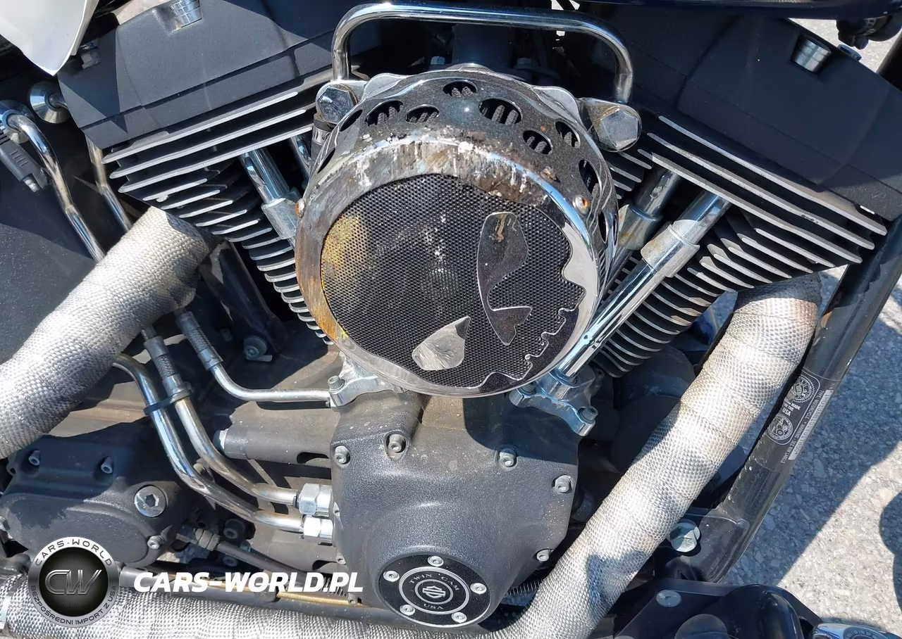 2001 Harley-Davidson Fxstbi VIN:1HD1JAB101Y017850 - 8