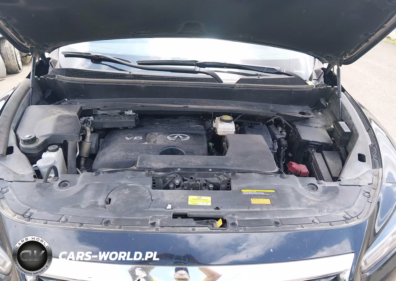2017 Infiniti Qx60 VIN:5N1DL0MM9HC548543 - 10