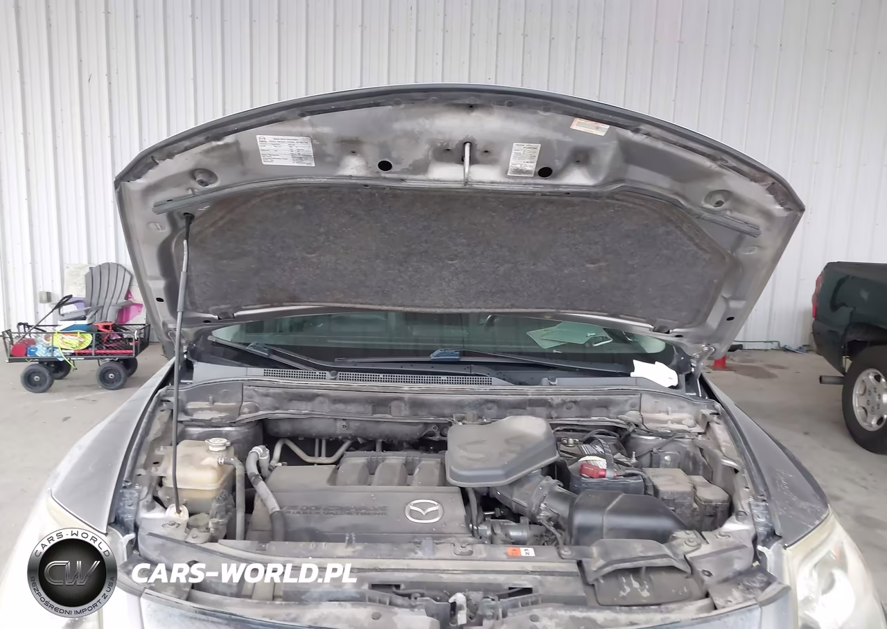 2010 Mazda Cx-9 Grand Touring VIN:JM3TB2MA2A0209674 - 10