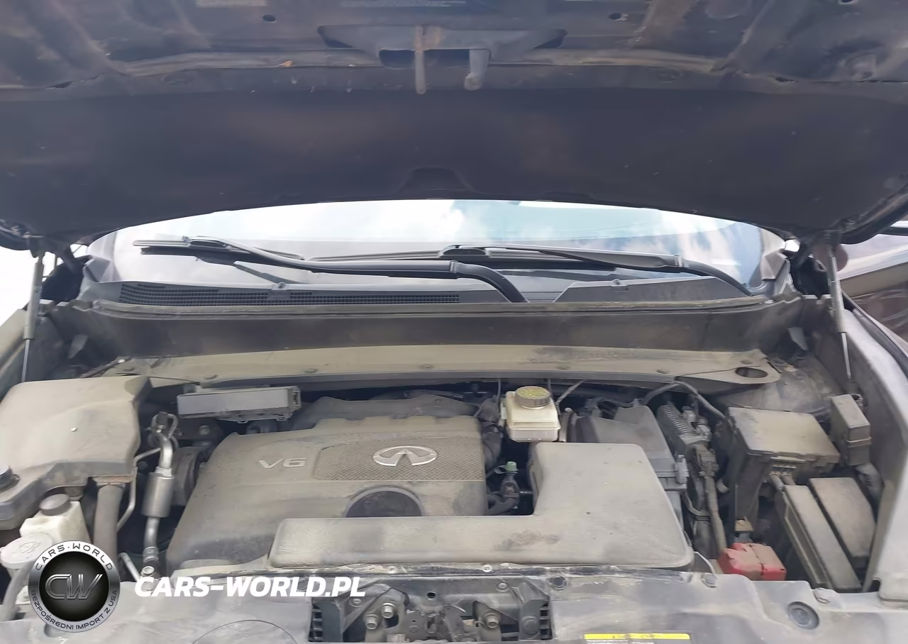 2019 Infiniti Qx60 Luxe-Pure VIN:5N1DL0MM5KC524117 - 10