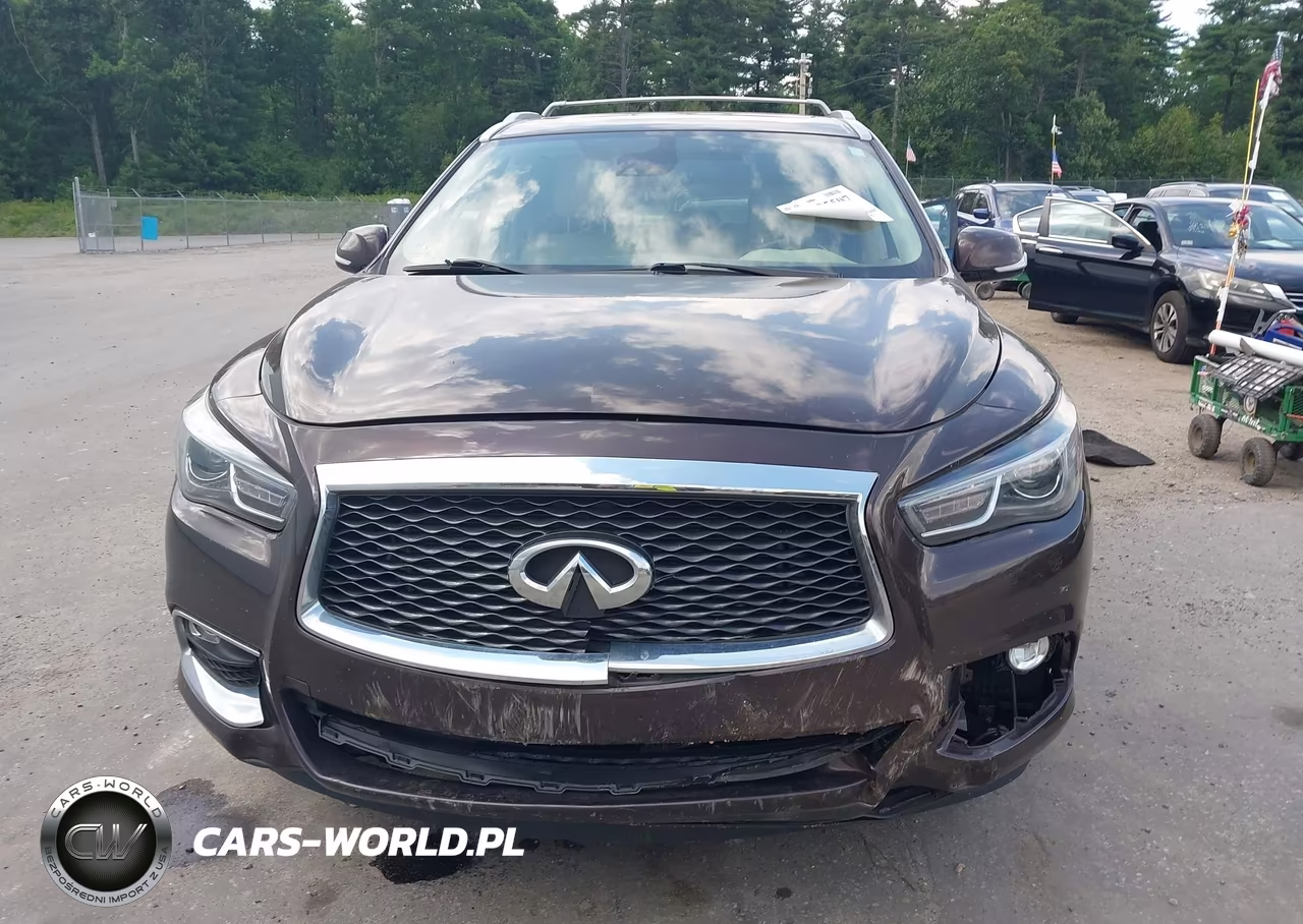 2019 Infiniti Qx60 Luxe-Pure VIN:5N1DL0MM5KC524117 - 13