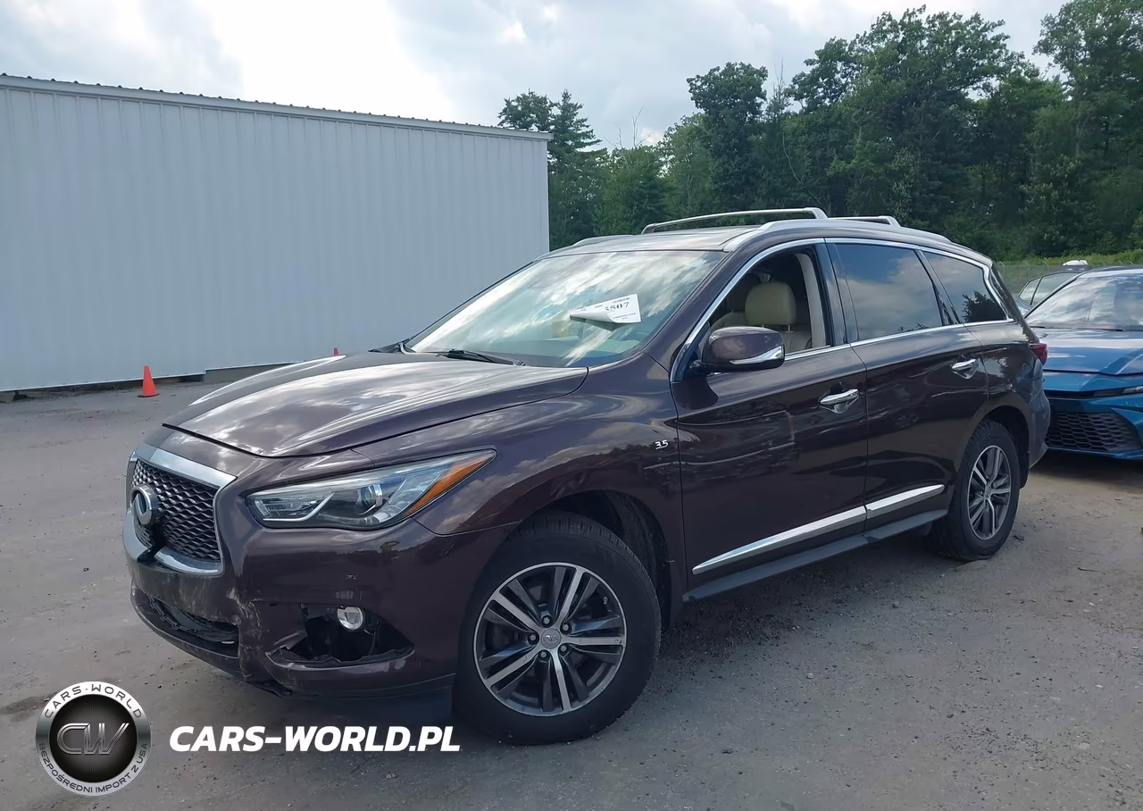 2019 Infiniti Qx60 Luxe-Pure VIN:5N1DL0MM5KC524117 - 2