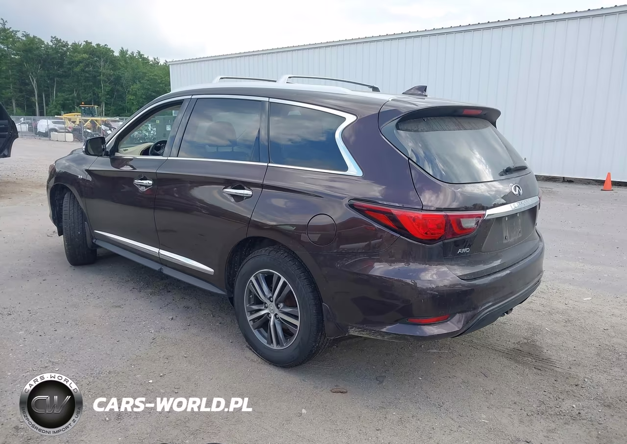 2019 Infiniti Qx60 Luxe-Pure VIN:5N1DL0MM5KC524117 - 3