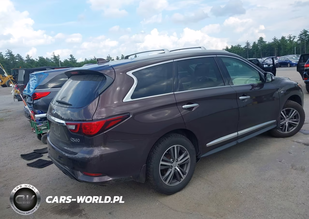 2019 Infiniti Qx60 Luxe-Pure VIN:5N1DL0MM5KC524117 - 4
