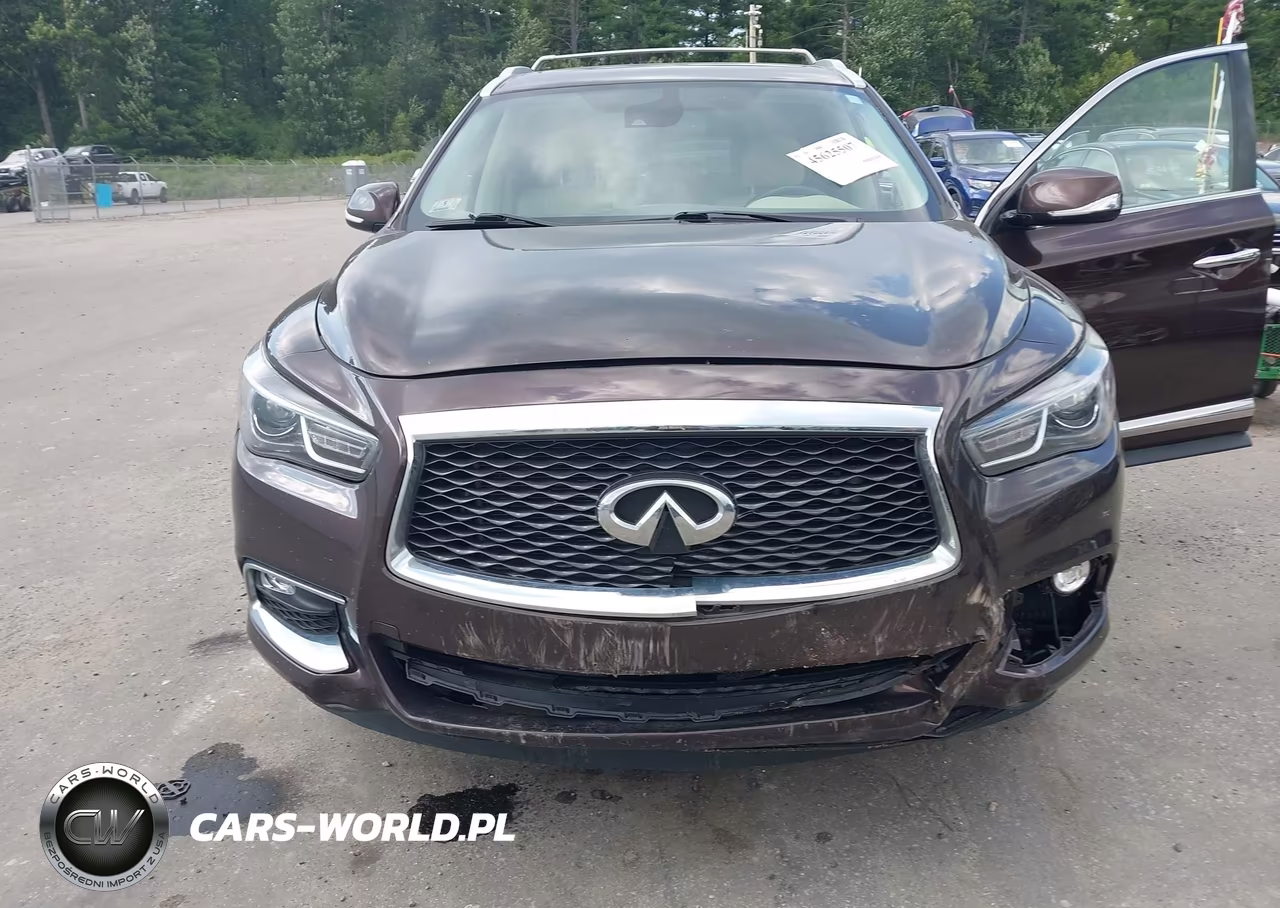 2019 Infiniti Qx60 Luxe-Pure VIN:5N1DL0MM5KC524117 - 6