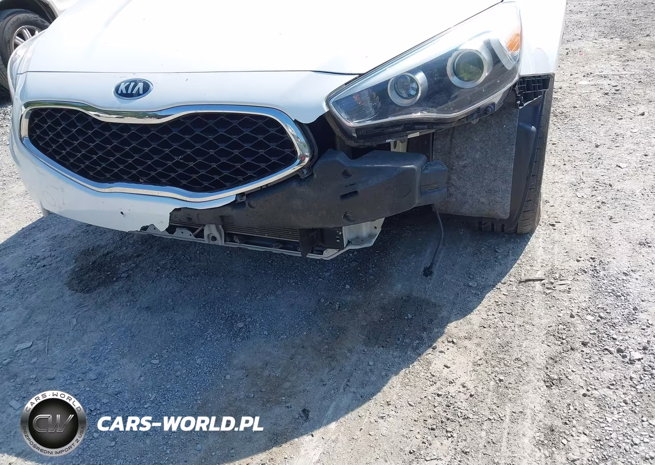 2016 Kia Cadenza Premium VIN:KNALN4D76G5211226 - 6