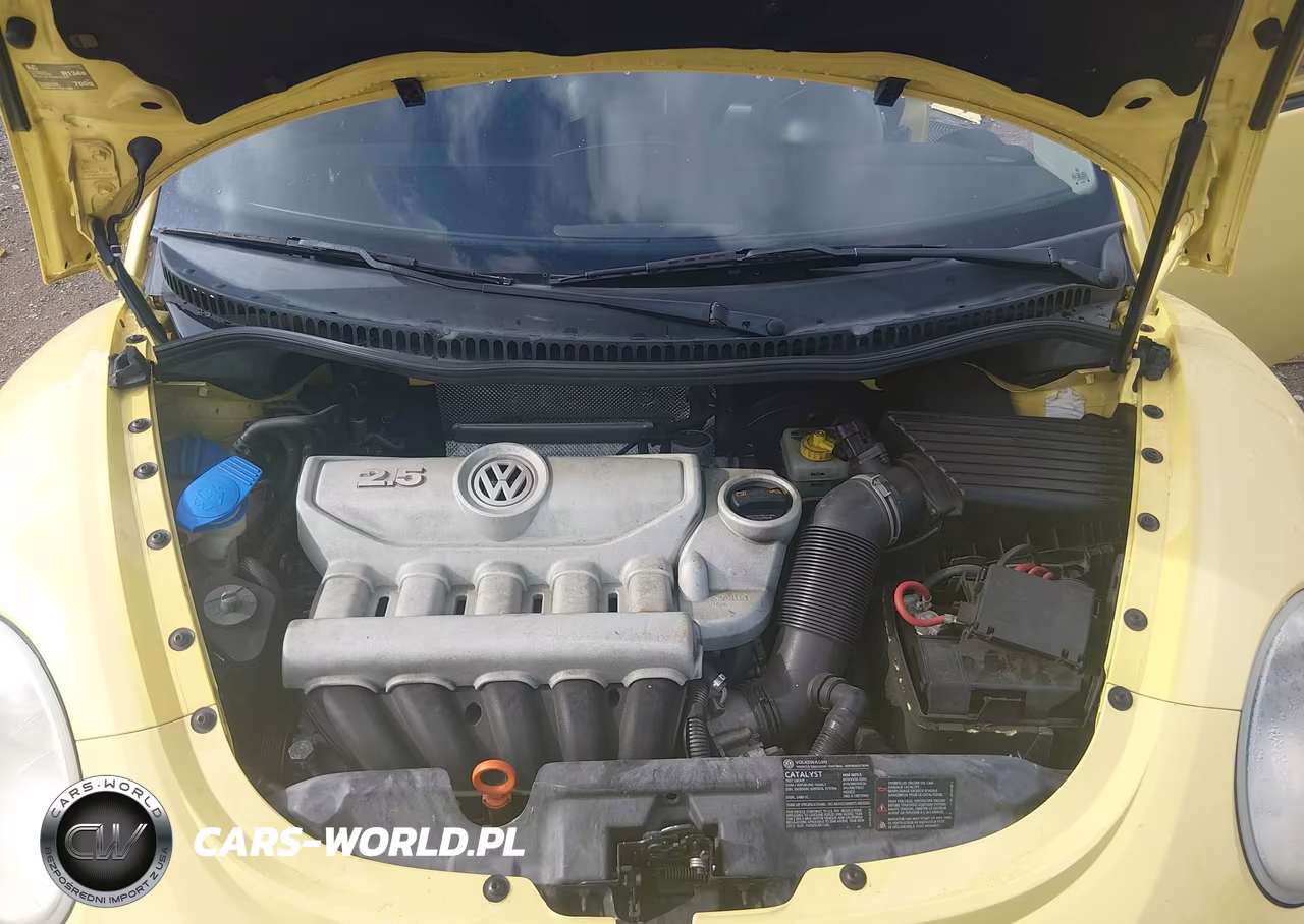 2008 Volkswagen New Beetle S VIN:3VWPW31CX8M502625 - 10