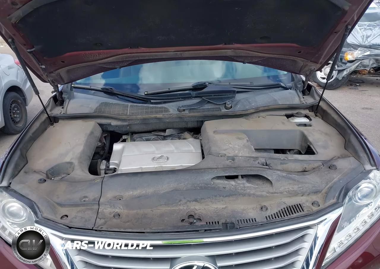 2014 Lexus Rx 350 VIN:JTJZK1BA1E2418721 - 10