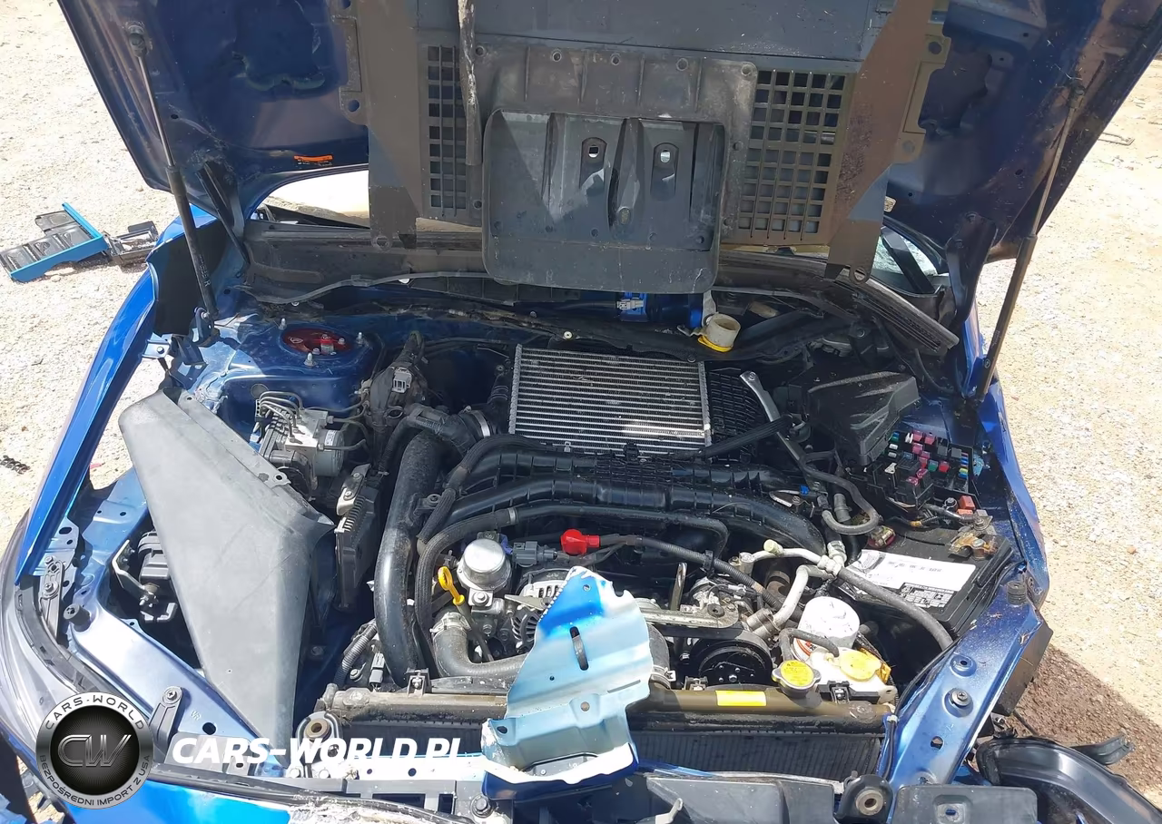 2017 Subaru Wrx VIN:JF1VA1B66H9818517 - 10