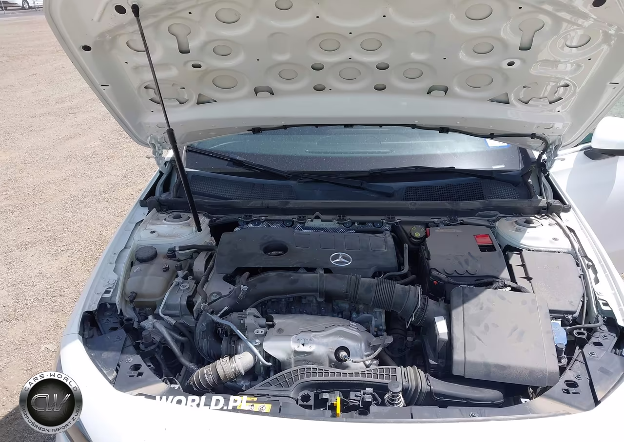 2021 Mercedes-Benz A 220 VIN:W1K3G4EB9MJ320790 - 10